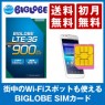 先着 BIGLOBE LTE・3G データSIMカード 標準・micro・nanoSIM